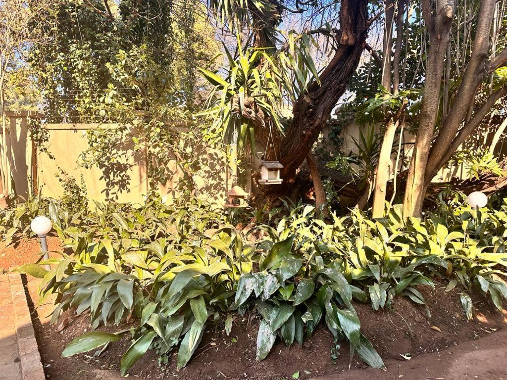 מידלבורג Woods Guest House מראה חיצוני תמונה
